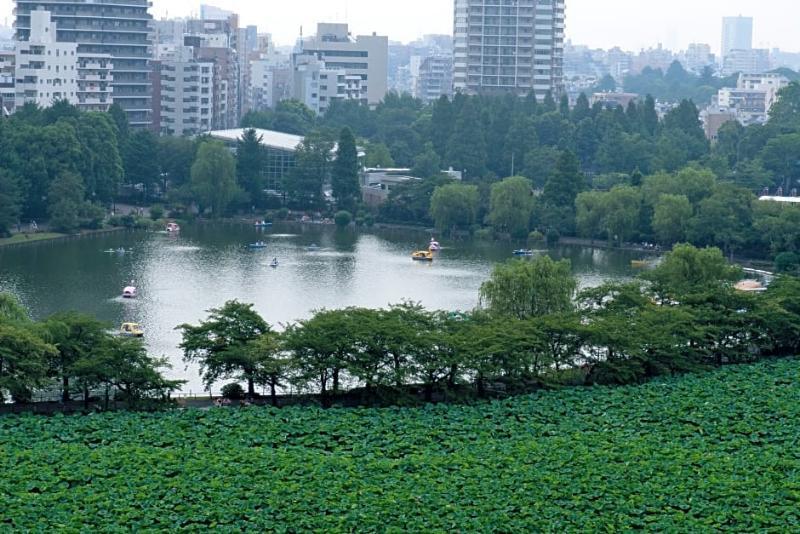 Hotel Coco Grand Ueno Shinobazu Τόκιο Εξωτερικό φωτογραφία